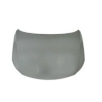 Achetez CAPOT VW VW PASSAT CC 08-11 au meilleur prix sur todocarrocería.com